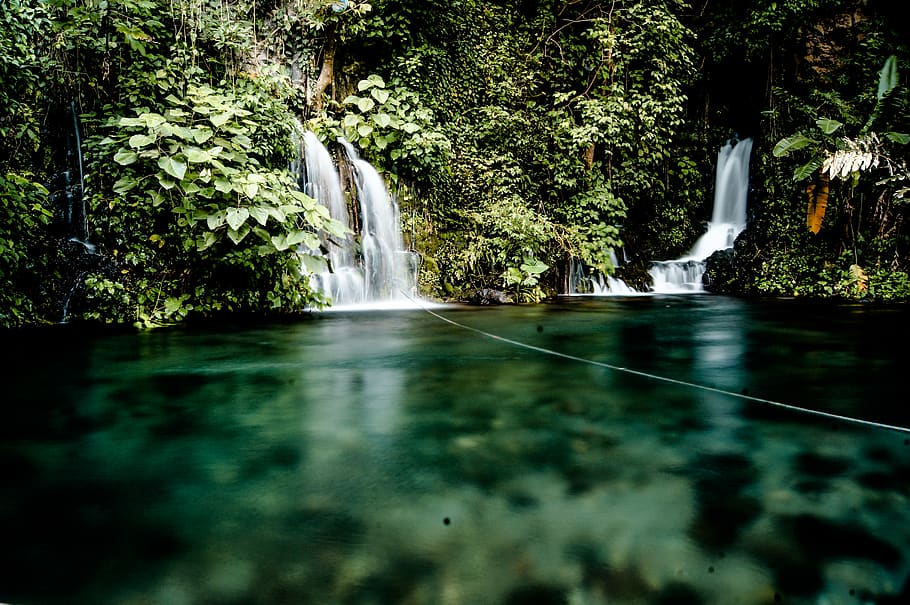 Waterfalls Surrounded by Green Trees, flow, tropical, plant, scenics - nature HD wallpaper