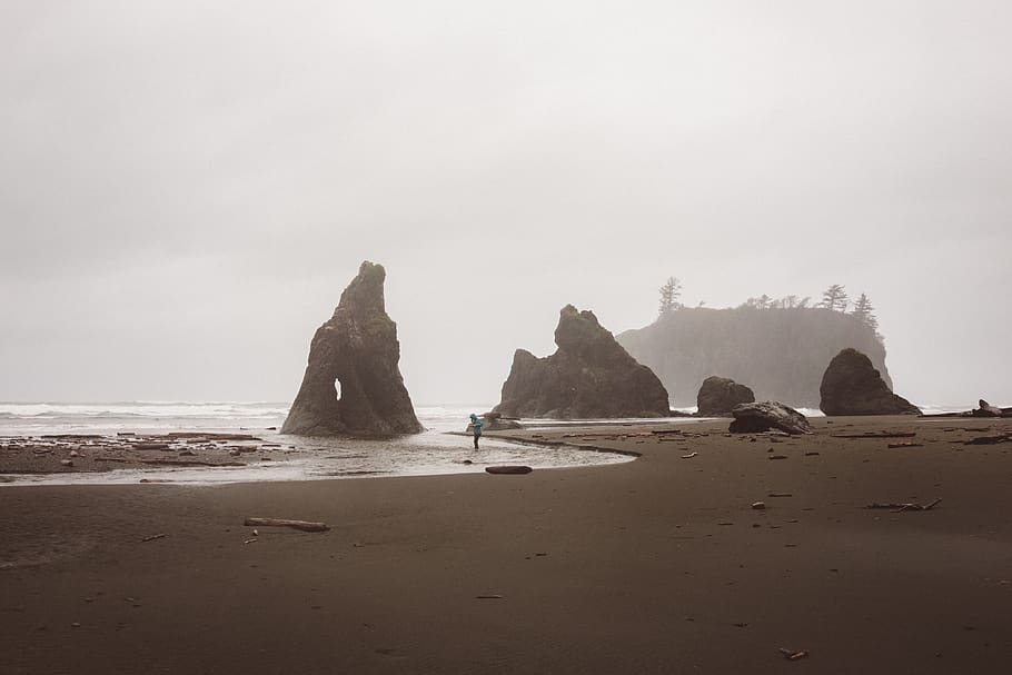 ruby beach, united states, rock, ocean, mist, fog, ridge, sea HD wallpaper