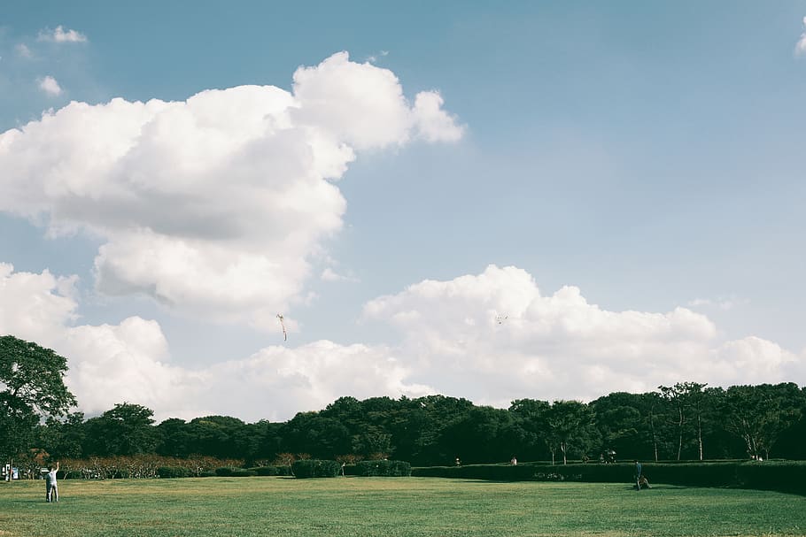 trees, park, sky, korea, gyeongju, cheomseongdae, cloud - sky HD wallpaper