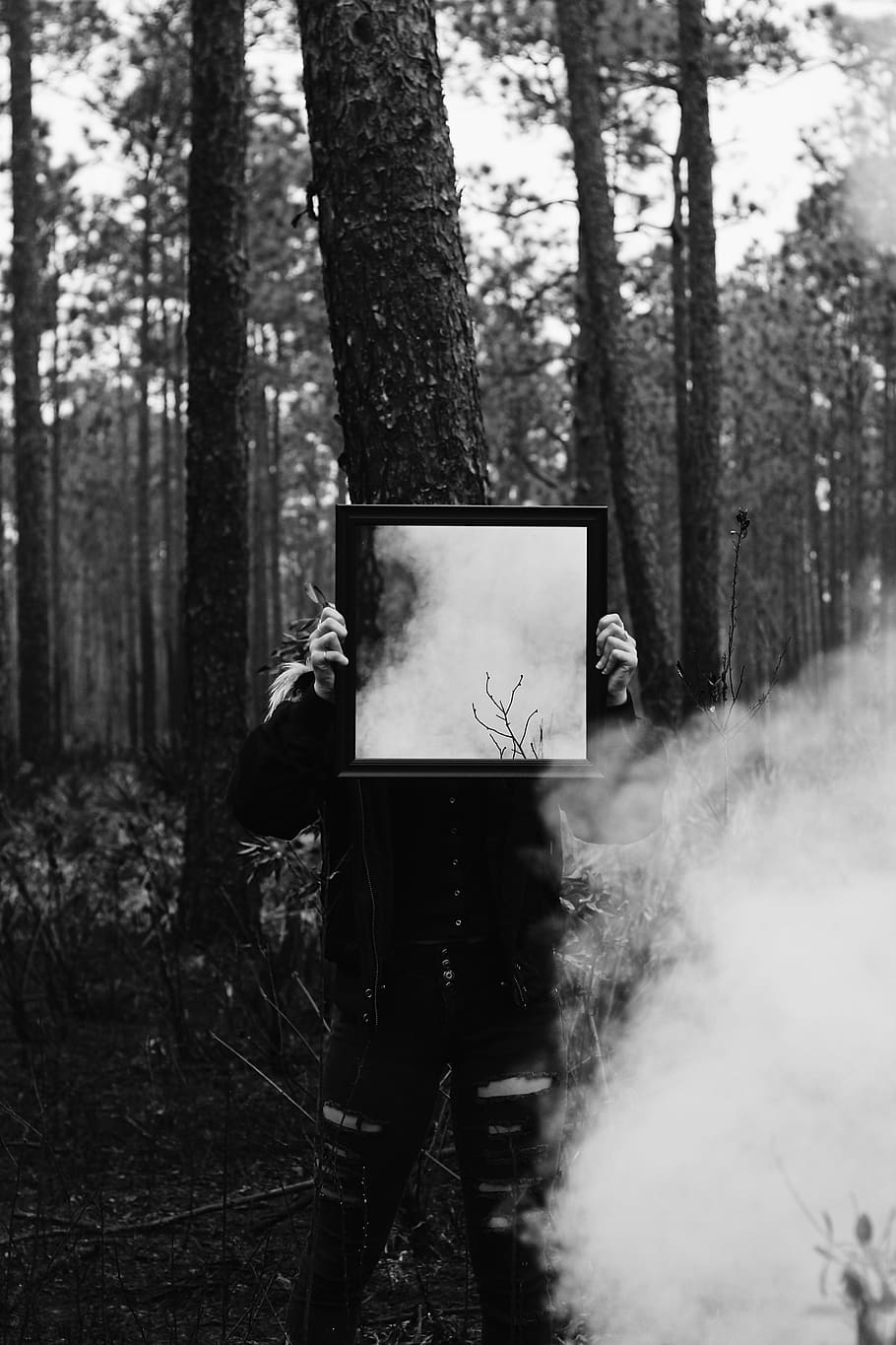 person holding mirror, forest, tree, land, trunk, plant, tree trunk HD wallpaper