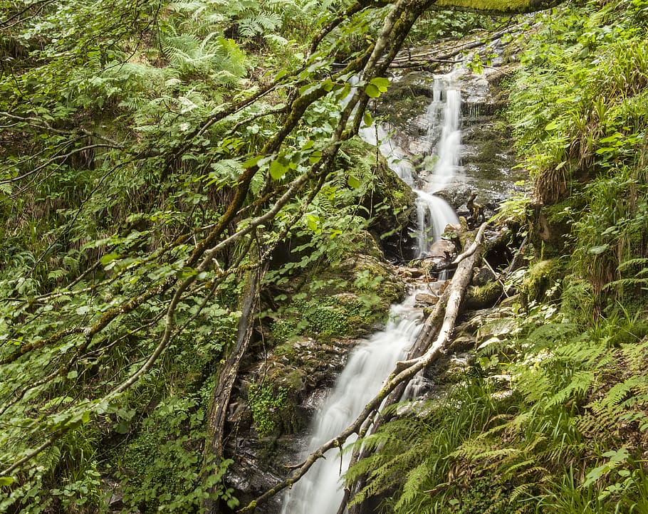 spain, waterfall xiblu, long exposure, tree, forest, plant HD wallpaper