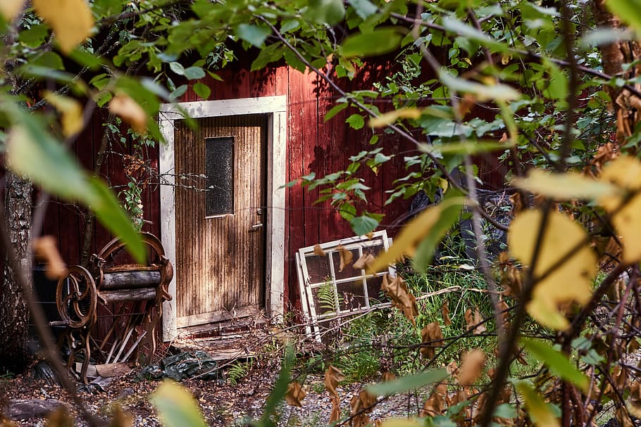 door, input, wood, old, house, rusty, access, antique, abandoned HD wallpaper