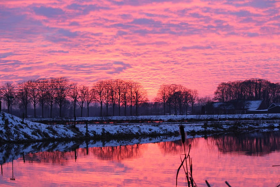 trees, mors 7, netherlands, eibergen, sky in water, red, creek HD wallpaper