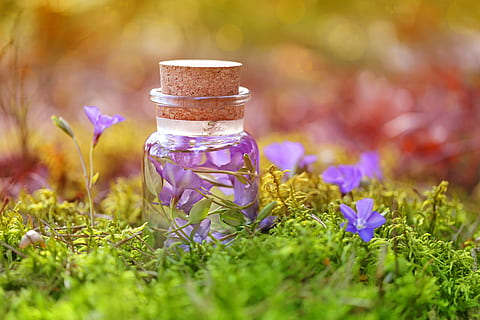 purple, magic, potion, herbal, infusions, bottle, liquid, glass HD wallpaper