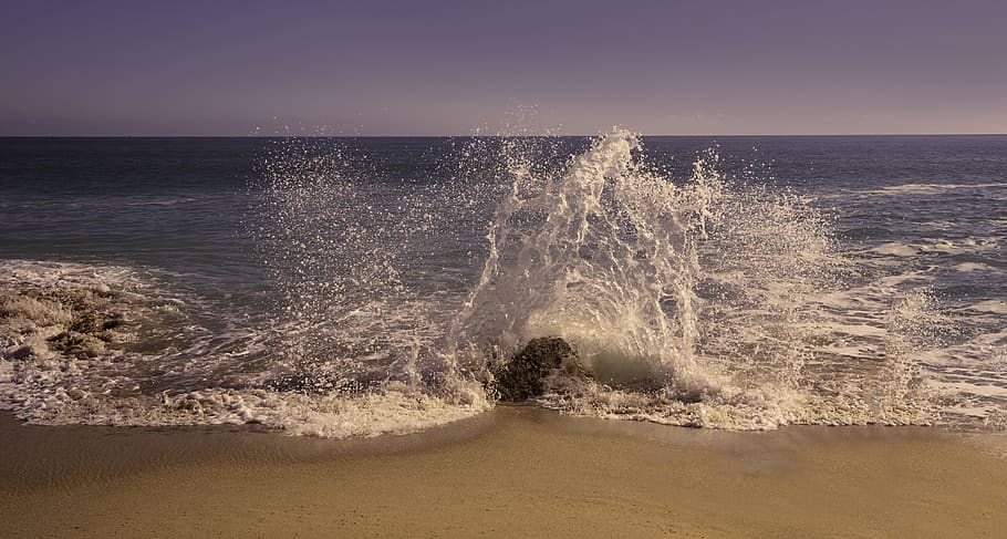 Photo of a Seashore, beach, dawn, ocean, oceanshore, oceanside HD wallpaper