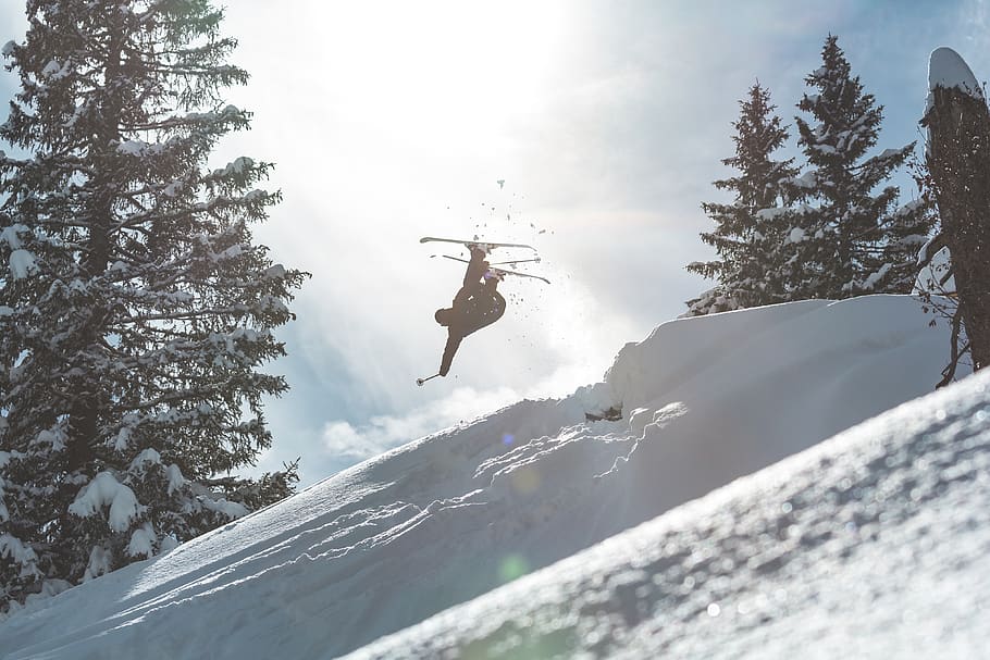 winter, ski, skiing, style, trees, sun, bluebird, snow, action sport HD wallpaper