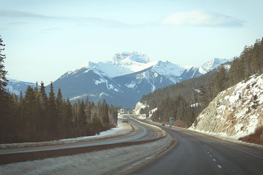 canada, banff, trees, road, highway, travel, trip, mountain HD wallpaper