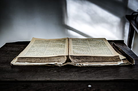 open, bible, letters, book, reading, literature, knowledge HD wallpaper