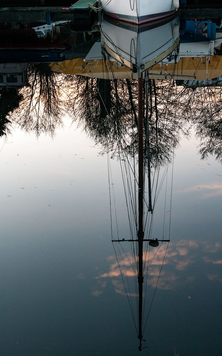 outdoors, puddle, water, nature, plant, utility pole, tree HD wallpaper