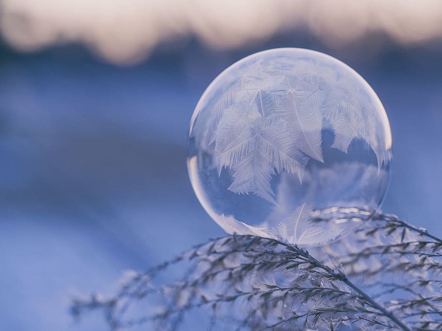 feather, dream catcher, nature, leaf, round, circle, glass HD wallpaper