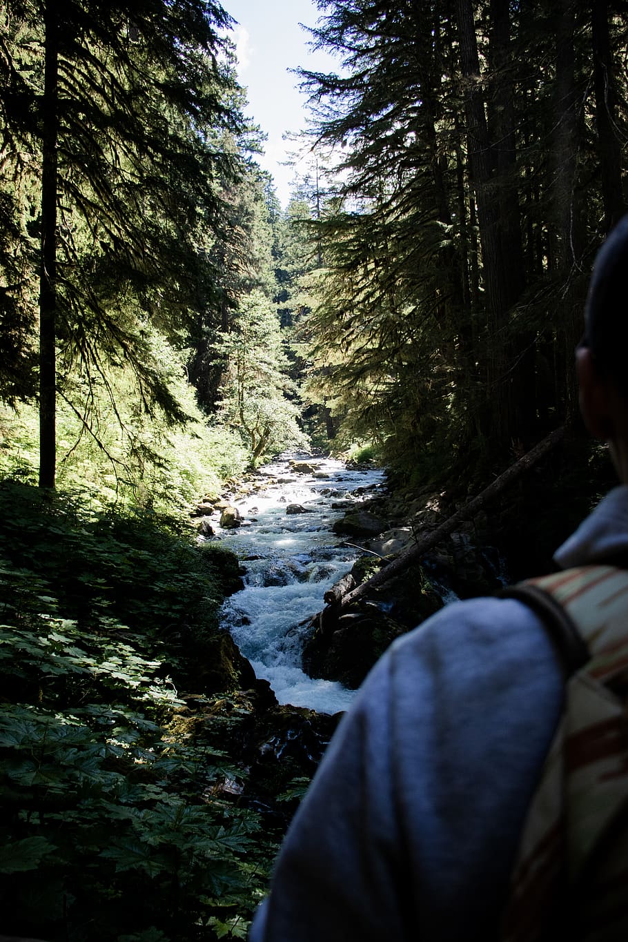 people, human, person, water, creek, outdoors, stream, forest HD wallpaper