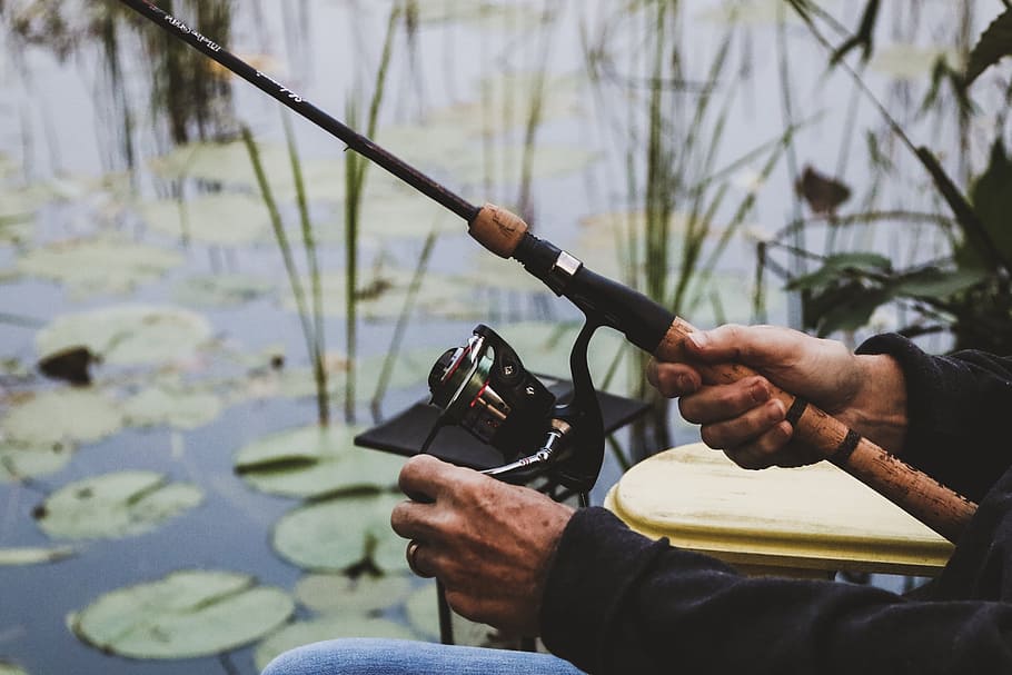 Cork Handled Fishing Rod Photo, Men, Summer, Retirement, Seasons HD wallpaper