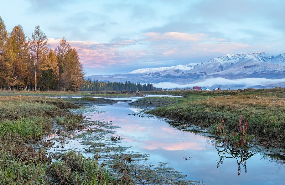 altai, river, autumn, reflection, mountains, forest, landscape HD wallpaper