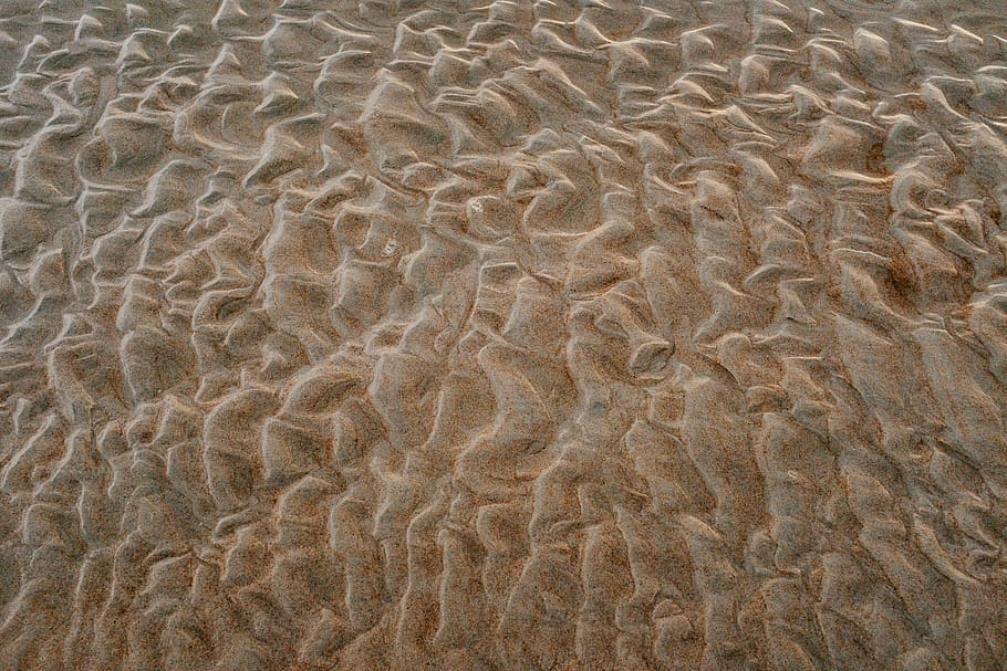 full frame, backgrounds, pattern, natural pattern, no people HD wallpaper