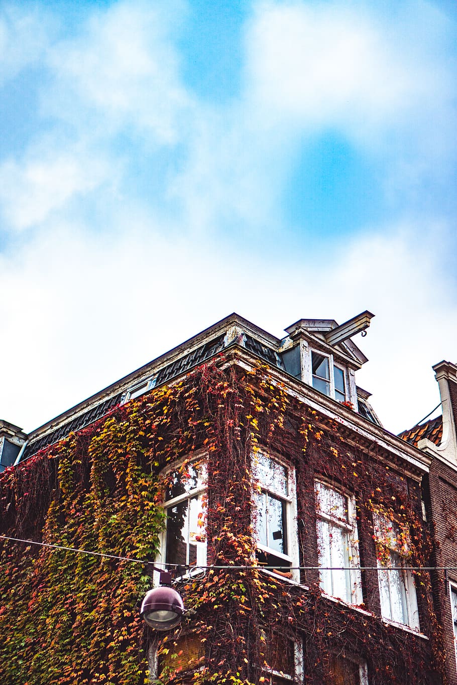 netherlands, amsterdam, architecture, building exterior, built structure HD wallpaper
