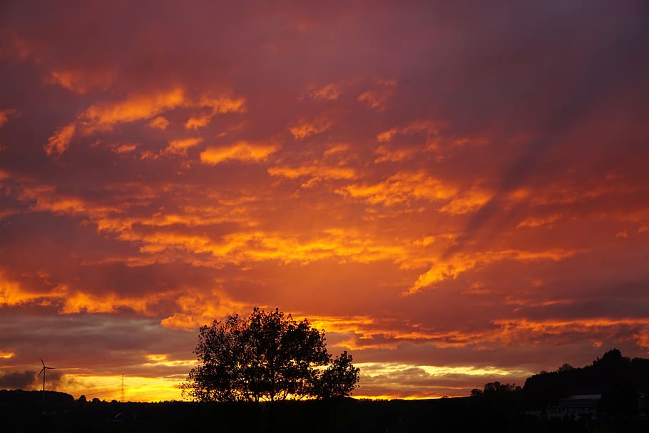 sunset, mood, sky, abendstimmung, afterglow, cloud - sky, tree HD wallpaper