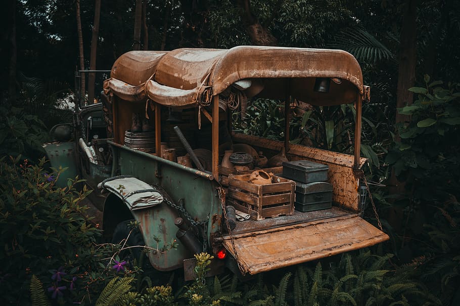 Green and Brown Vehicle in Forest, abandoned, palm tree, rusty HD wallpaper