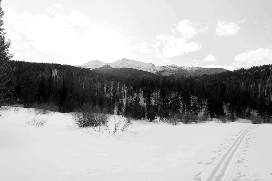 mountain, snow, winter, trail, tracks, sun, cold temperature HD wallpaper