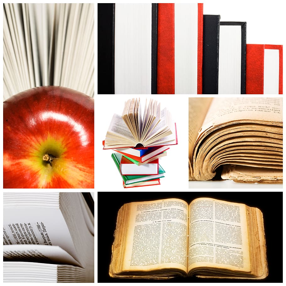 con2011, book, knowledge, literary, literature, new, object HD wallpaper