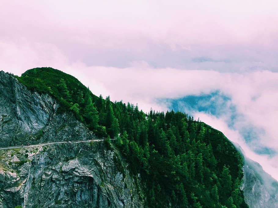 trees in mountain during day time, outdoors, nature, austria HD wallpaper