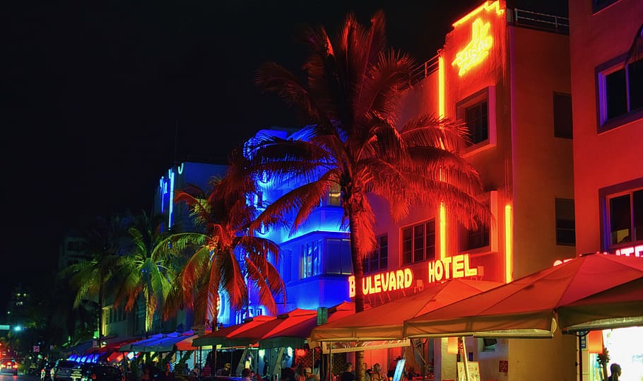 united states, miami beach, starlite hotel, nightlife, illuminated