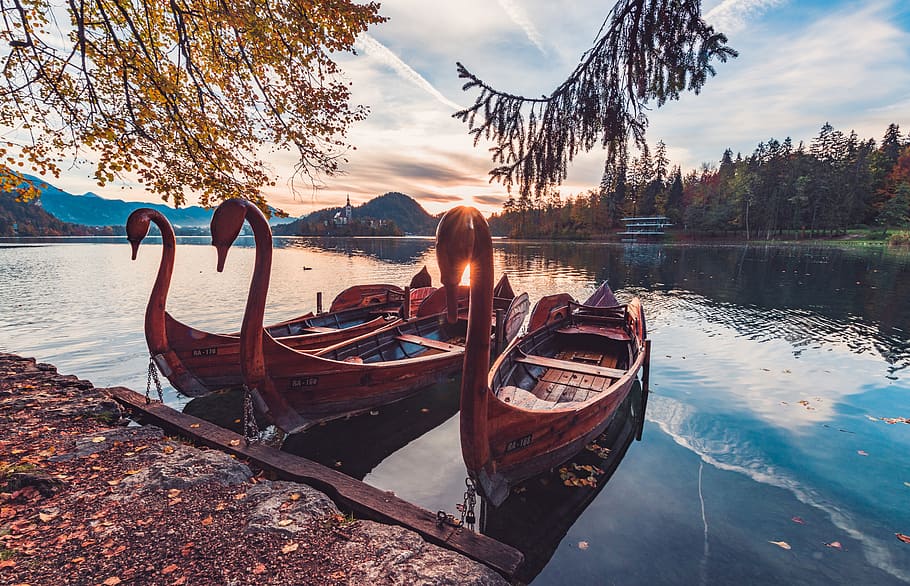 boat, ship, clouds, sky, river, lake, swan, trees, blue, sunset HD wallpaper