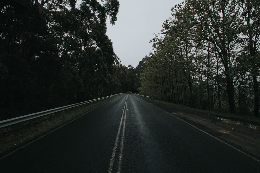 concrete road towards trees, great ocean road, australia, peterborough HD wallpaper
