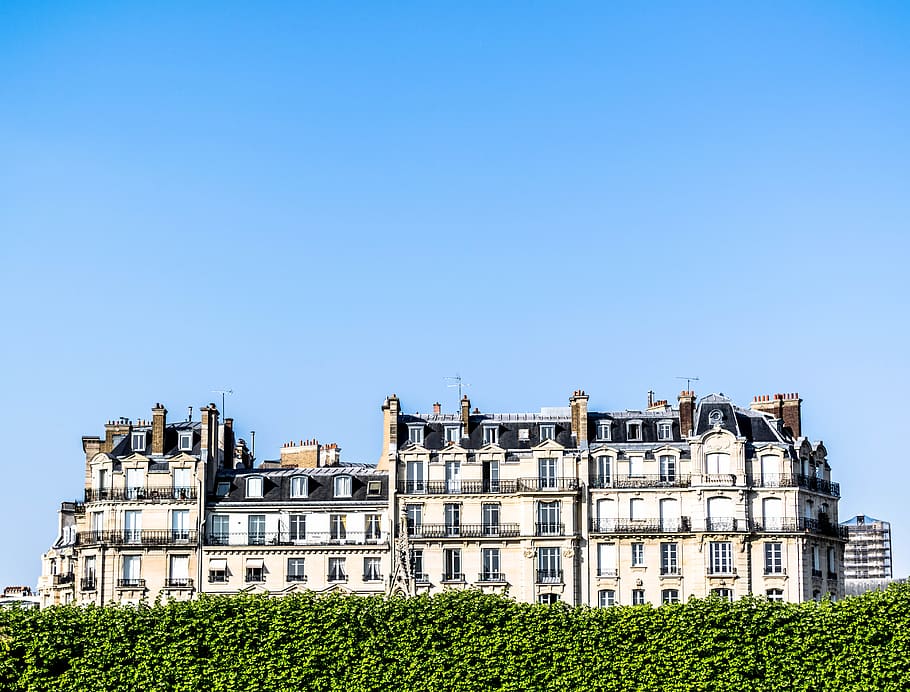 A large white building in France., paris, trees, immeuble, hausmann, HD wallpaper