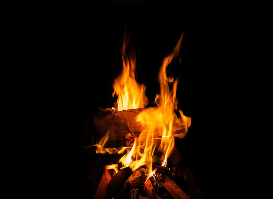 Close-up of Bonfire at Night, ash, background, black, blaze, bright