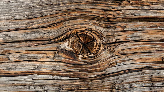 austria, mayrhofen, eye, structure, shapes, curves, lines, wood HD wallpaper