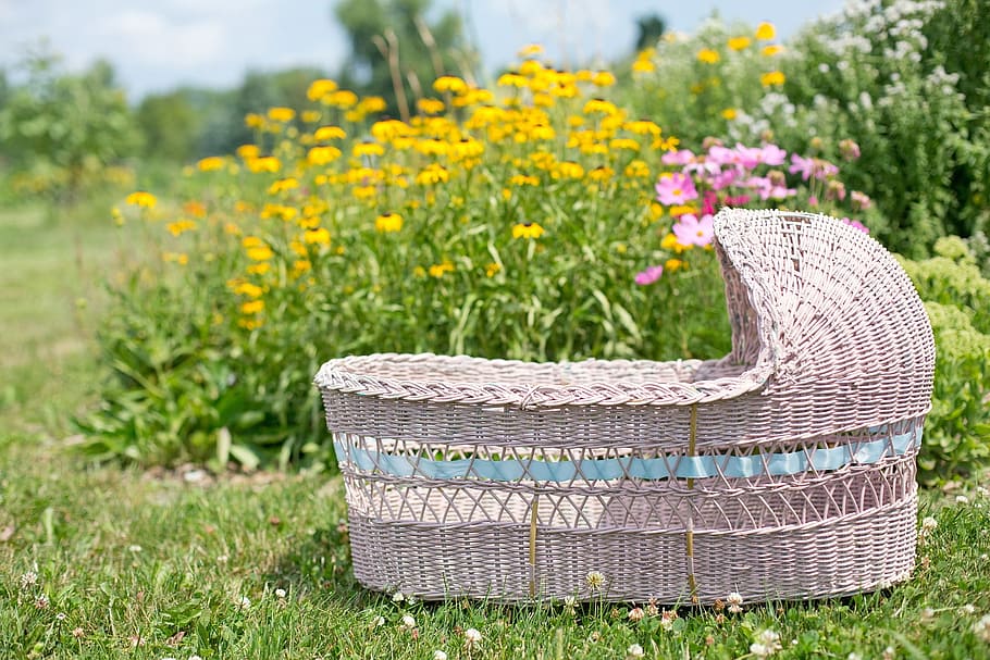 bassinet, baby, bed, object, flower, garden, blooming, nature HD wallpaper