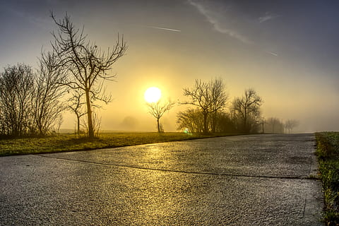 sunrise, backlighting, road, away, reflection, tree, fog, mood HD wallpaper