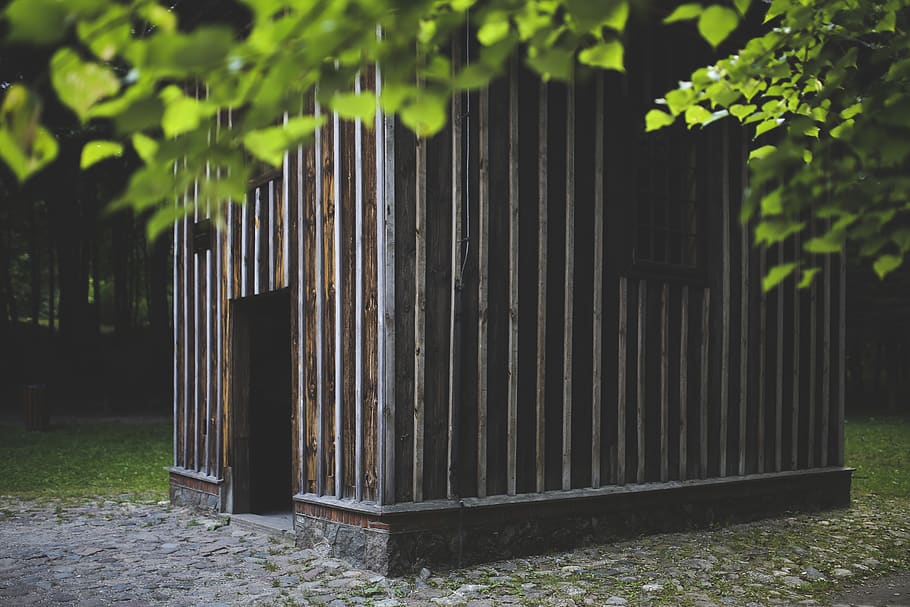 Wooden building, brownish, dark, environment, fence, flora, forest HD wallpaper