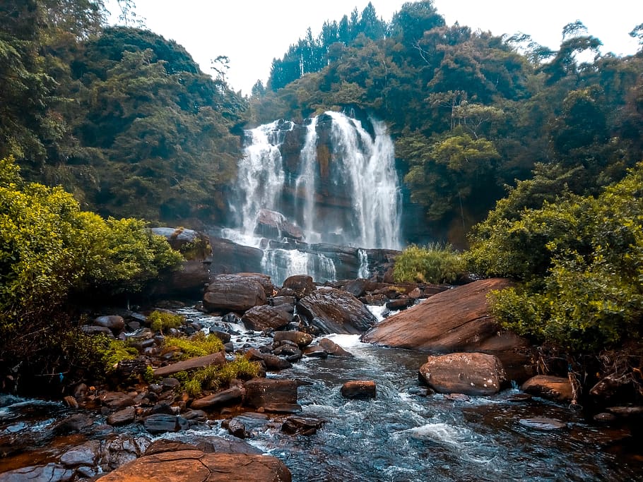 Waterfalls, daylight, environment, flow, forest, landscape, long exposure HD wallpaper