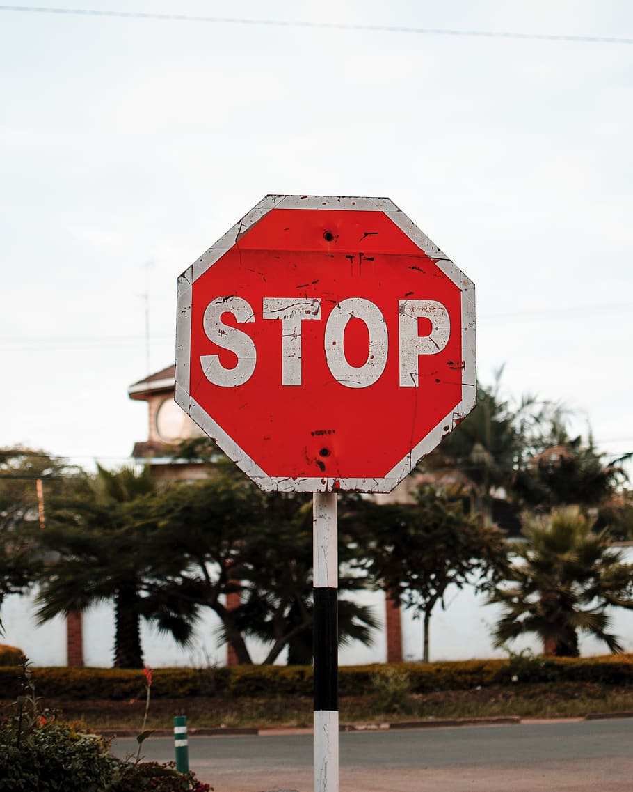 Stop Sign, guidance, halt, roadsign, signage, stop moving, symbol