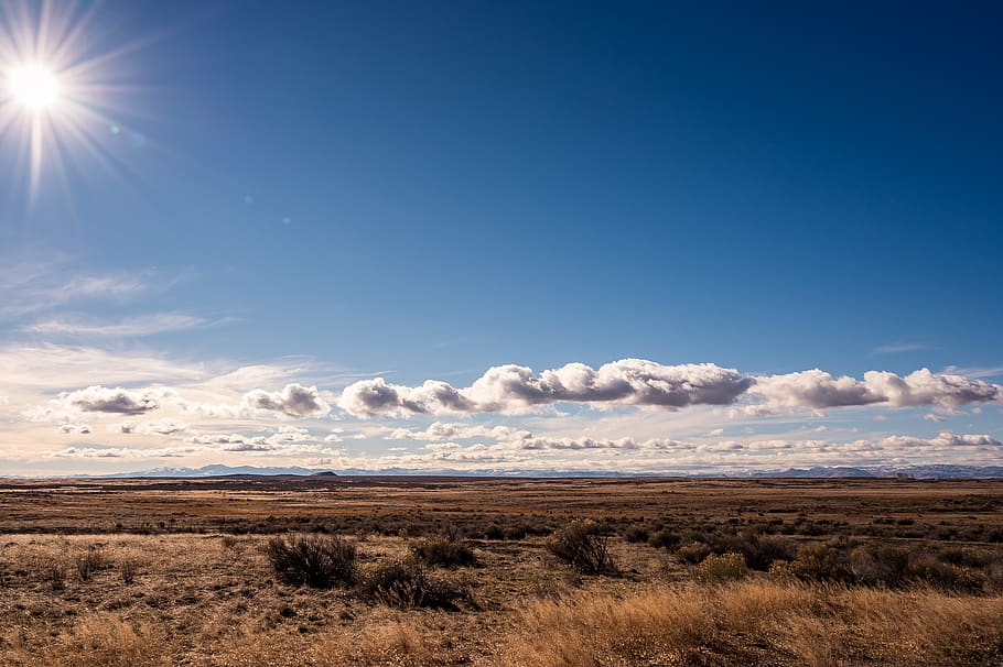 Brown Grass Field Under Blue Sky and White Clouds, color, daylight HD wallpaper