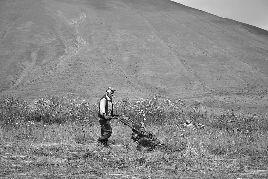 man mowing grass, men, one person, real people, nature, full length HD wallpaper
