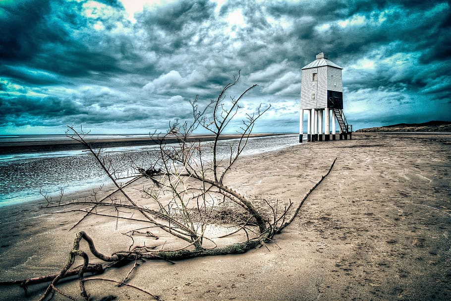 Driftwood on Beach Shore, blue, clouds, coast, landscape, lighthouse HD wallpaper