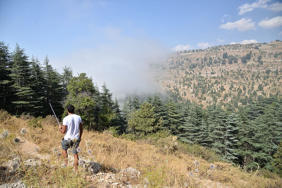 lebanon, rear view, real people, plant, beauty in nature, lifestyles HD wallpaper