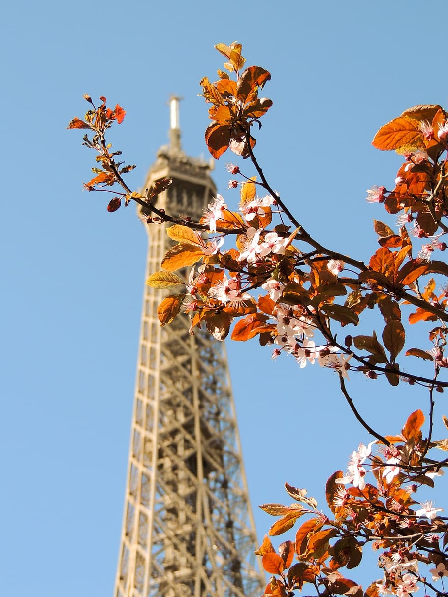 paris, eiffel tower, france, monument, famous, capital, history, HD wallpaper