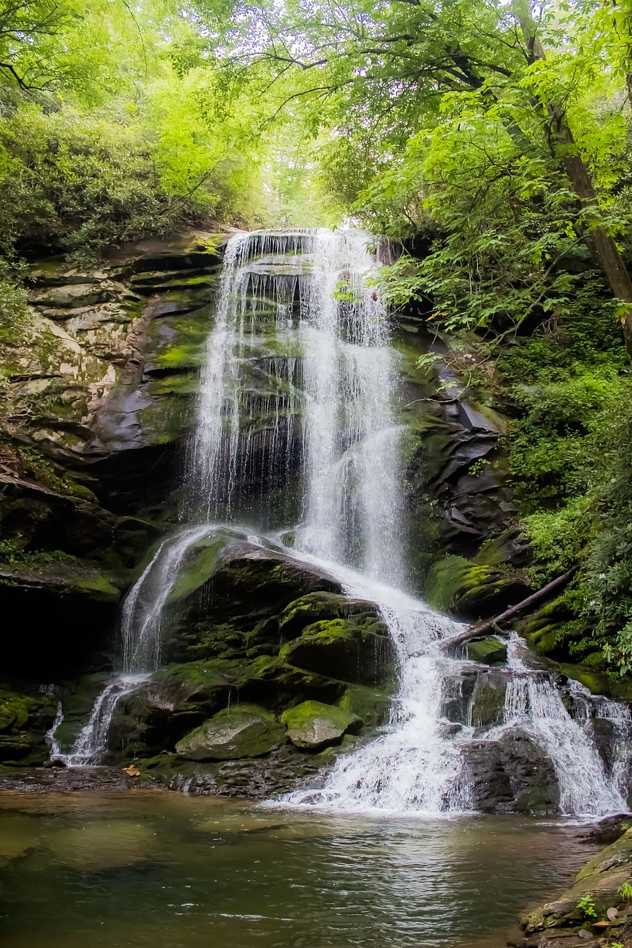 waterfalls between green trees, beauty in nature, scenics - nature HD wallpaper