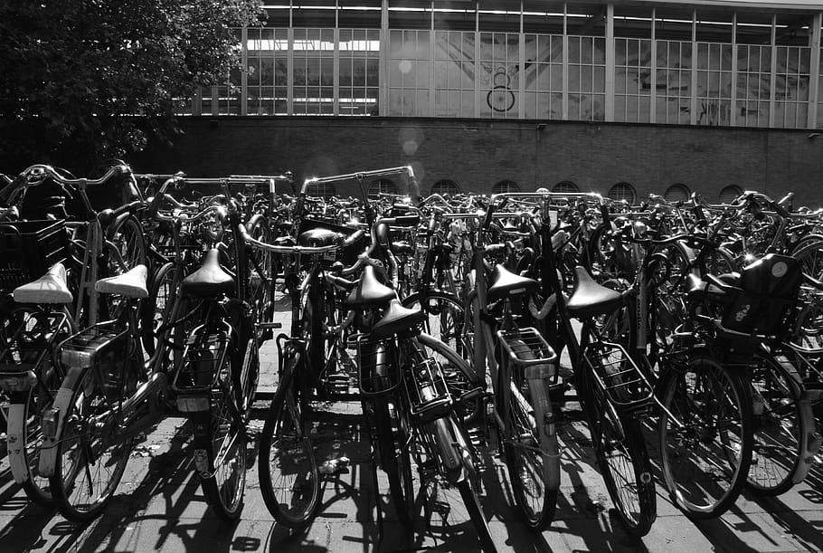 amsterdam, netherlands, amsterdam amstel, bicycle, bikes, transportation HD wallpaper