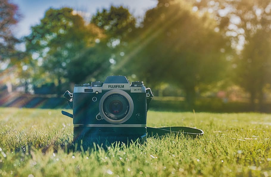 black Fujifilm camera on grass field, plant, photography themes HD wallpaper