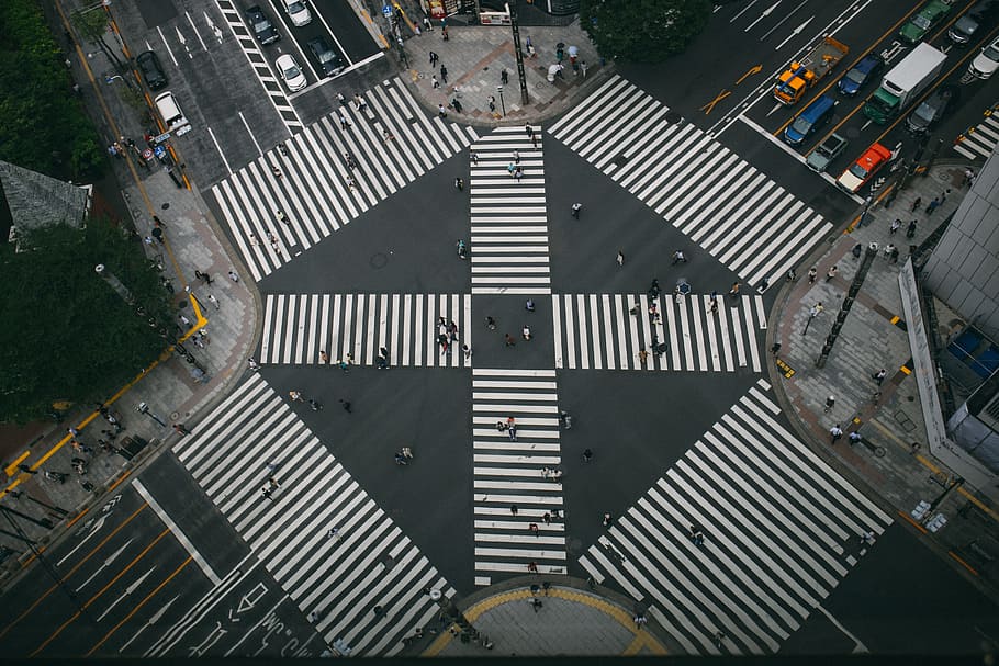 bird's eye view of street crossing, symmety, symmetrical, pedestrian, HD wallpaper