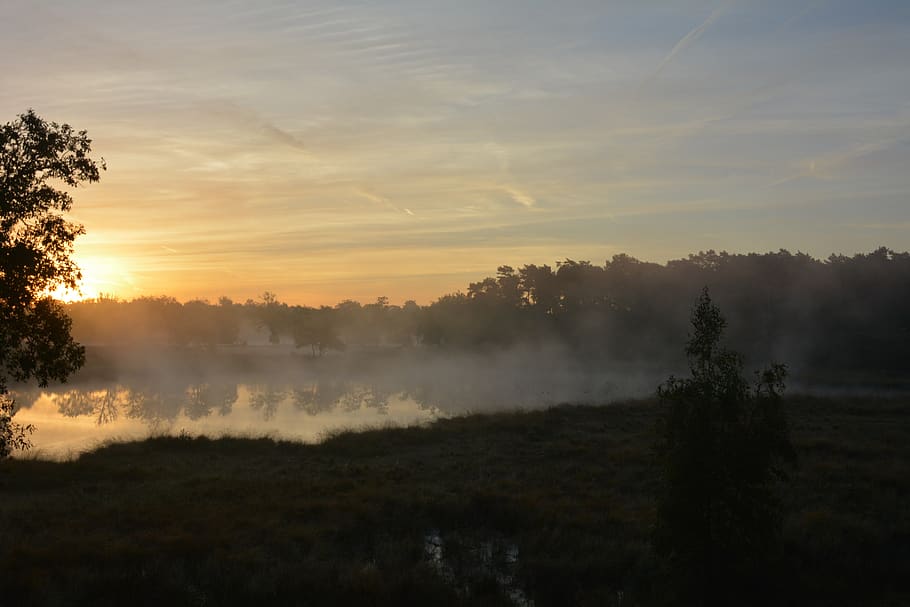 sun, attendance, sunrise, mist, fog, landscape, travel, orange HD wallpaper