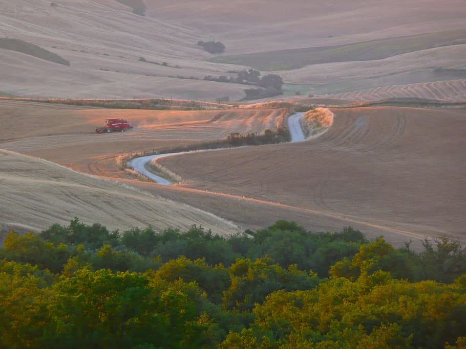 italy, pienza, environment, landscape, scenics - nature, plant HD wallpaper