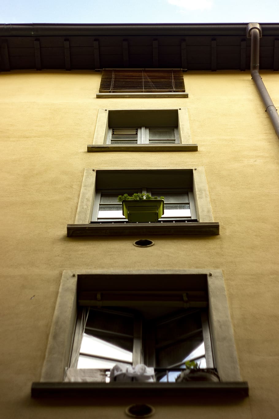 green potted plant on window, building, housing, italy, province of bergamo, HD wallpaper