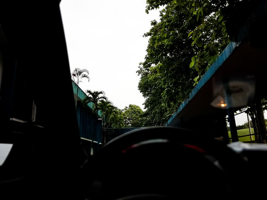 panama, sky, tree, green, trees, vehicle, car, driving, mode of transportation HD wallpaper