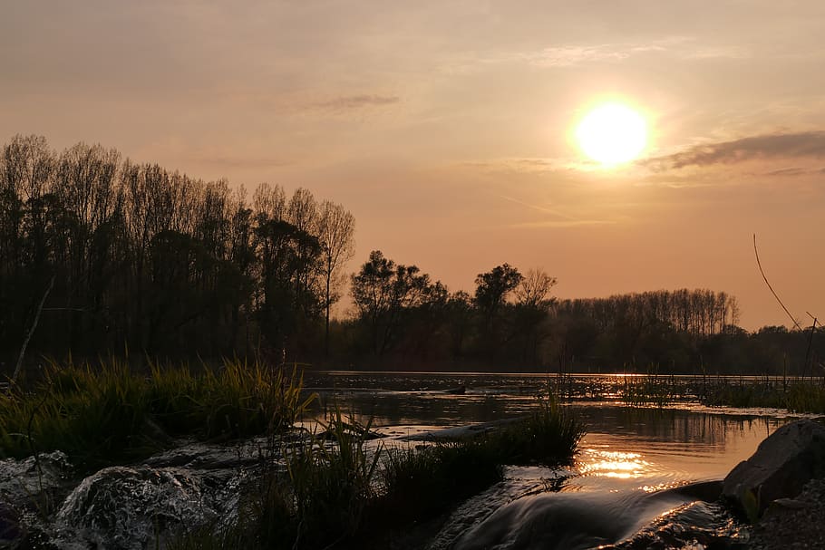 west, sun, the sky, clouds, trees, water, river, plant, scenics - nature HD wallpaper