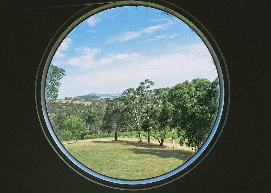 green trees, plant, sky, window, day, nature, geometric shape HD wallpaper